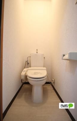 �y���̑��z�@�g�C��