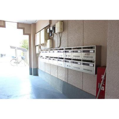 �y�����O�ρz�@�G���g�����X