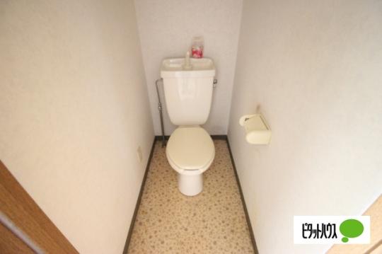 �y���̑��z�@�g�C��