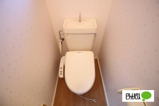 �y���̑��z�@�g�C��