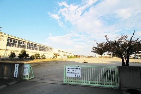 �y���Ӂz�@�ɐ���s���B�@��񏬊w�Z�F1613m