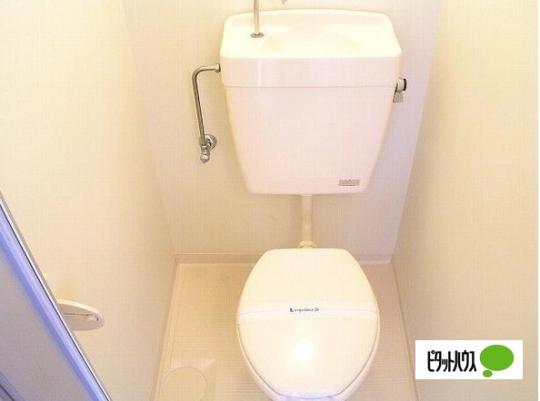 �y���̑��z�@�g�C��