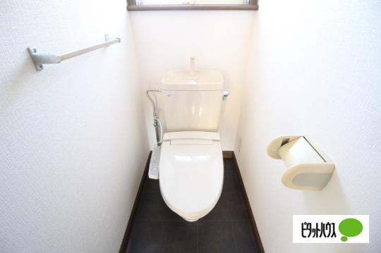 �y���̑��z�@�g�C��