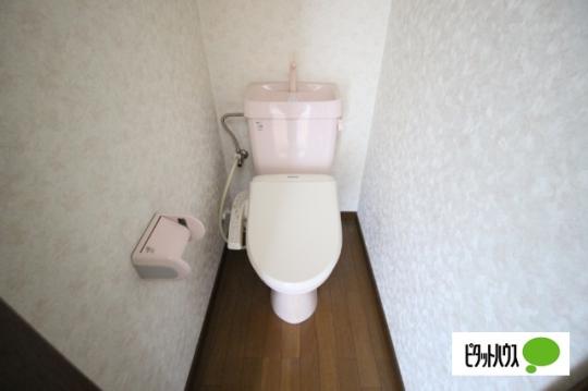 �y���̑��z�@�g�C��