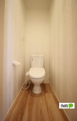 �y���̑��z�@�g�C��