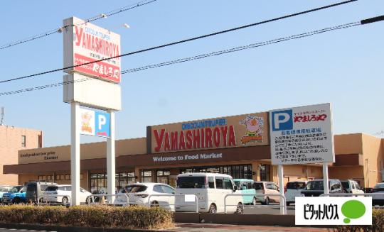 �y���Ӂz�@�f�B�X�J�E���g�X�[�p�[��܂����ȂƂ�X�F215m