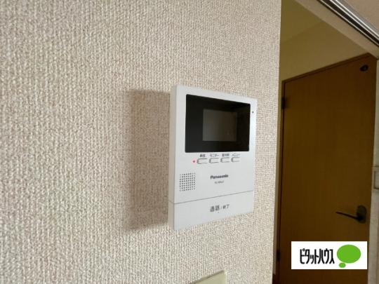 �y���̑��z�@�Z�L�����e�B