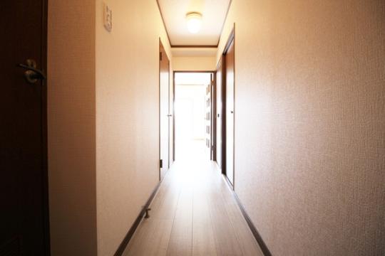 �y���̑��z�@