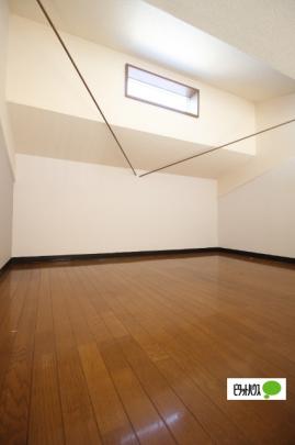 �y���̑��z�@�L�X���t�g��