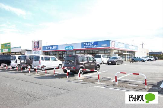 �y���Ӂz�@�E�G���V�A�ʑ��X�F773m