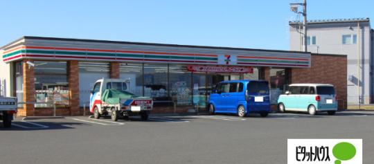 �y���Ӂz�@�Z�u���C���u���ʑ���ΖؓX�F785m