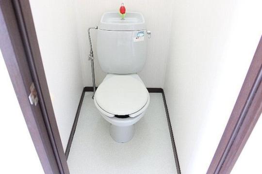 �y���̑��z�@�g�C��