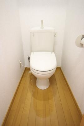 �y���̑��z�@�g�C��