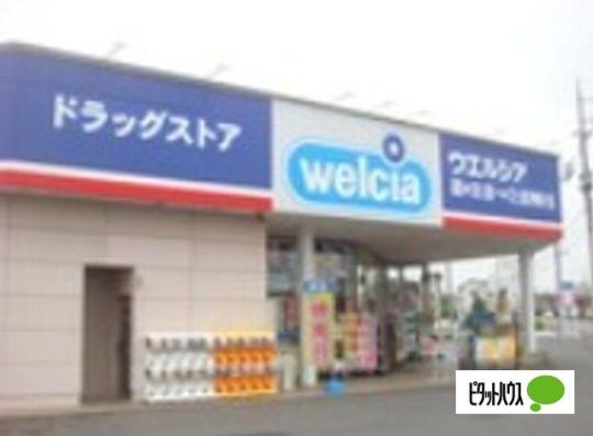 �y���Ӂz�@�E�G���V�A�ɐ��蔪���X�F465m