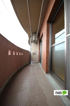 �y���̑��z�@�x�����_���L�X�I