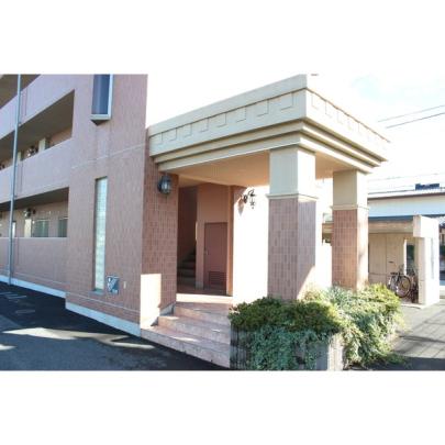 �y�����O�ρz�@�G���g�����X