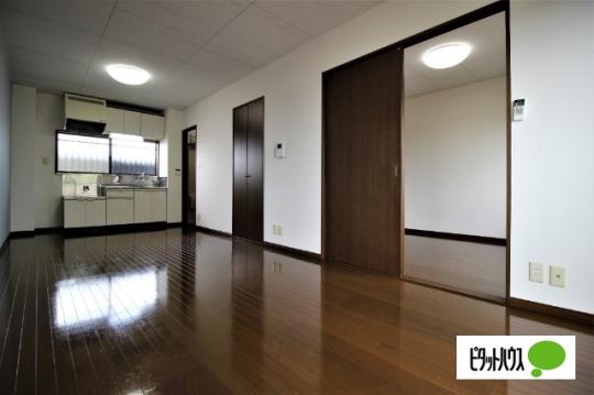 �y���̑��z�@���r���O