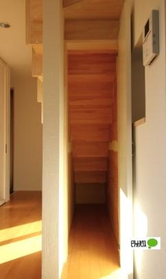 �y���̑��z�@���[