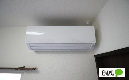 �y���̑��z�@�m���G�A�R���Q���