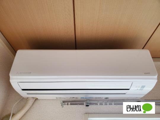 �y���̑��z�@�m���G�A�R��