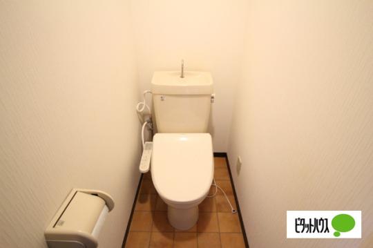 �y���̑��z�@�������֍����I