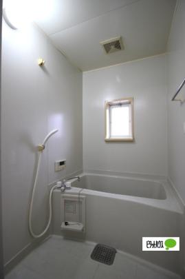 �y���̑��z�@�ǐ�������I