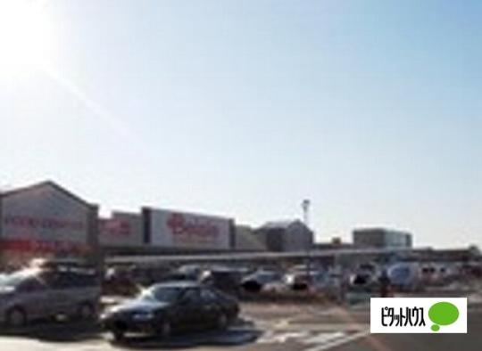 �y���Ӂz�@�x�C�V�A�d��O���݂Ȃ݃��[���X�F1094m