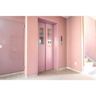 �y�����O�ρz�@�G���g�����X