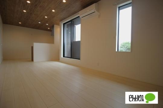 �y���̑��z�@���]�^�C�v