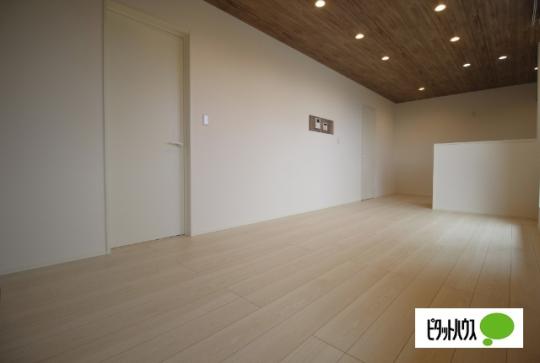 �y���̑��z�@���]�^�C�v