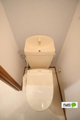 �y���̑��z�@�g�C��