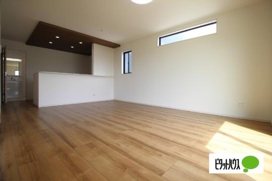 �y���̑��z�@���r���O