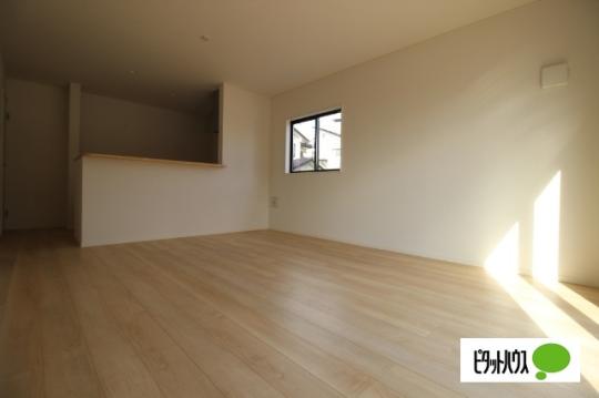 �y���̑��z�@���r���O