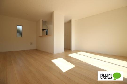 �y���̑��z�@���r���O