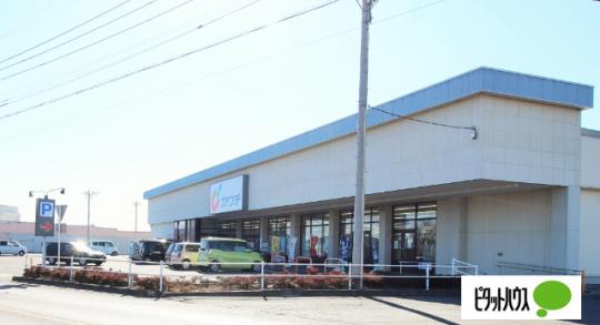 �y���Ӂz�@�J���`��i�ɐ����X�F661m