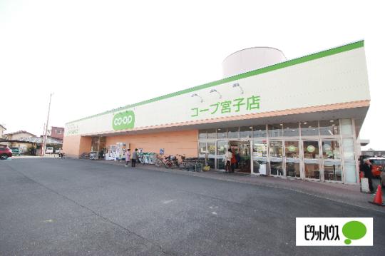 �y���Ӂz�@�R�[�v�{�q�X�F833m