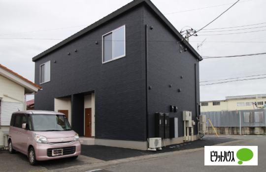 �y�����O�ρz�@�G���g�����X