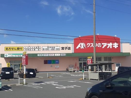 �y���Ӂz�@�N�X���̃A�I�L�{�q�X�F683m