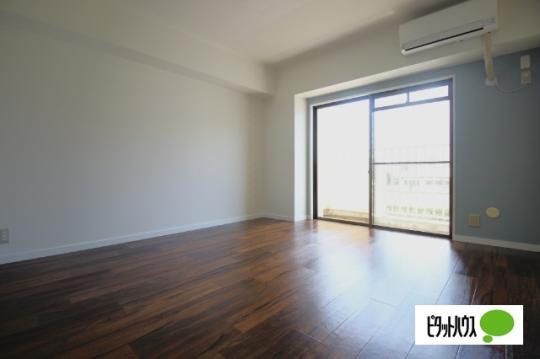 �y���̑��z�@���r���O