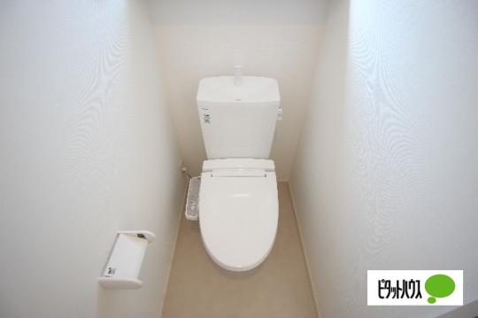 �y���̑��z�@�g�C��