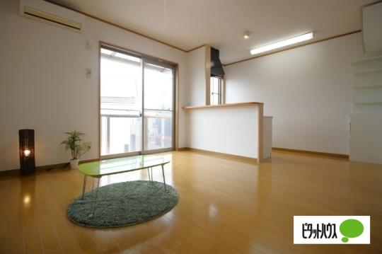 �y���̑��z�@���r���O