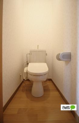 �y���̑��z�@�g�C��