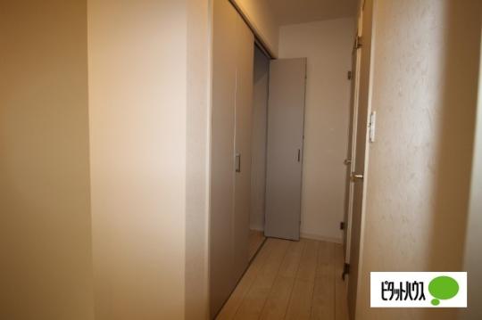 �y���̑��z�@���[