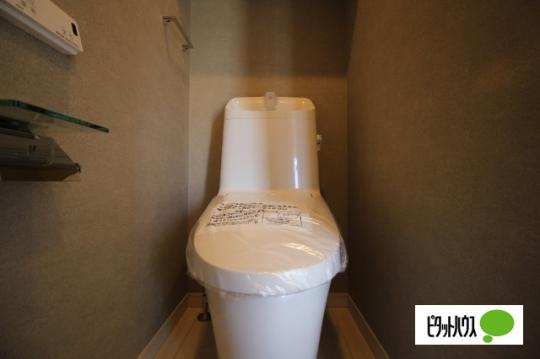 �y���̑��z�@�g�C��