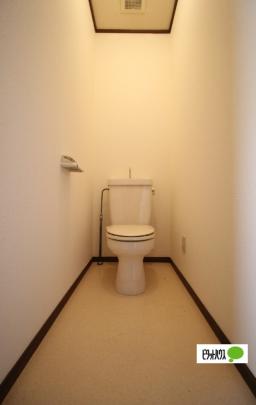 �y���̑��z�@�g�C��