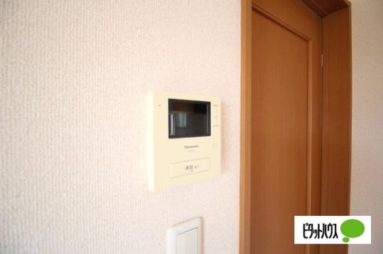 �y���̑��z�@�Z�L�����e�B