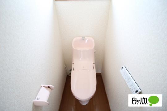 �y���̑��z�@�g�C��