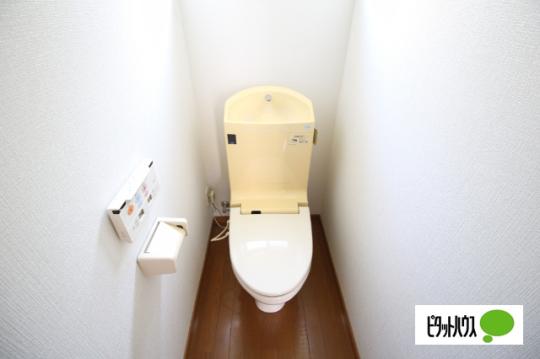 �y���̑��z�@��̌^�������֍�