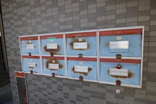 �y�����O�ρz�@�W���|�X�g