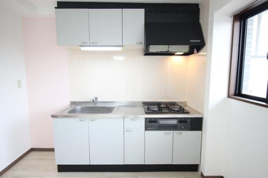 �y���̑��z�@�r���g�C���K�X�R����